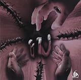 Amaryllis/Cosmos[TYPE A]