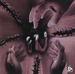 Amaryllis/Cosmos[TYPE A]