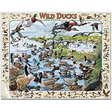 White Mountain Puzzles Wild Ducks 1000 Piece Jigsaw Puzzle - B0009STH6Q
