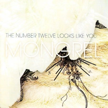 The Number Twelve Looks Like You - The Try (Thank You) Lyrics - Zortam Music