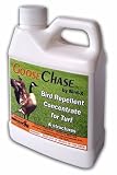 Bird-X GC-PT Goose Chase Goose Repellent Pint