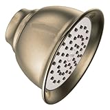 IMAGE OF Moen 6302AZ Moenflo XL Single Function Showerhead, Antique Bronze