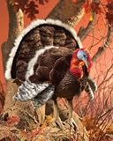 Folkmanis Puppet Turkey