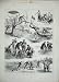 1884 Salmon Ova Fishing Ireland Men Nets River Basket
