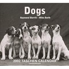 Dogs : Eph�m�ride 2002