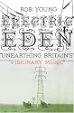 Electric Eden: Unearthing Britain's Visionary Music