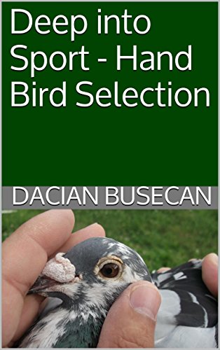 Deep into Sport - Hand Bird Selection