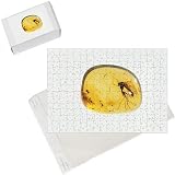 Photo Jigsaw Puzzle of Insect trapped in AMBER from Ardea Wildlife Pets