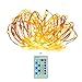 Ucharge TSD0010 Dimmable Starry String Lights,33ft 100 Led with Remote USB Copper Wire Lights Waterproof (Warm White)