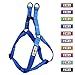 Pawtitas Dog Harness Small Sized Dog Blue Dog Harness Step in from a Senior Dog to a Puppy Harness Adjustable Reflective Dog Harness S Reflective Dog Vest