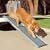 Dog Ramp for Cars (3940)