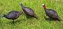 Carry - Lite� Hen Foam Turkey Decoy