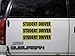 One Student Driver Magnet - Reflective Vehicle Car Sign - Larger Than the Others - Large 2