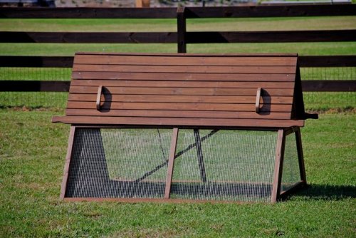 Chicken Ark Coop Large