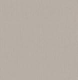 Brewster Wallcovering Co 2662-001922 Reflection Texture Wallpaper, Taupe by Brewster Wallcovering Co