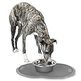 Petmate Le Bistro Single Pet Food Mat, Gray, Large
