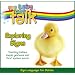 My Baby Can Talk - Exploring Signs Board Book
