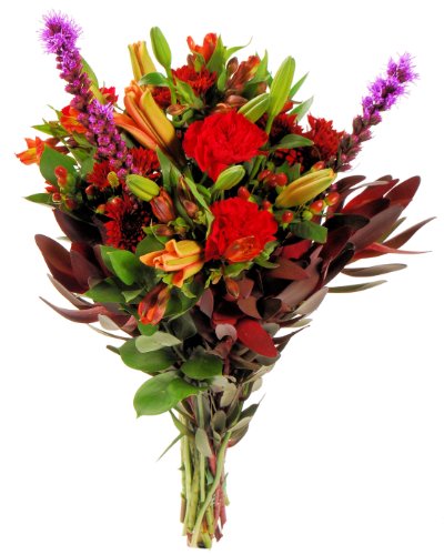 Fresh Cut Fall Flowers - Kessiah Single Bouquet - 25 Stems - Rich Autumn Colors - Free Fast Shipping