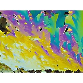 Beta-Carotene Crystals Stretched Canvas Poster Print