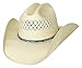 Bullhide Beers Ago Shapable Western Hat