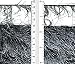 Fun Fur Yarn - Onyx -Exotics