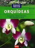 Orquídeas