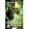 Top Fantasy /fantastische Welten