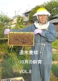 週末養蜂 7月の飼育 [DVD]