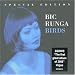Bic Runga-Birds
