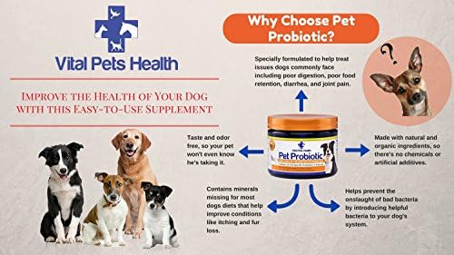Natural Probiotic For Dogs - Best For Digestion, Vitality, Diarrhea Relief, whilst Having the Minerals and Enzymes Your Dog Needs - 10 Billion CFU - Extra Large 170 grams/6 oz Jar