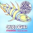 Spice Doubt-a Gig in the Ether-Digi