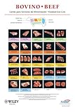 North American Meat Processors Spanish Foodservice Posters (Set of 8: Beef, Lamb, Veal, Pork, Chicken, Turkey, Duck, Gamebirds) / Psteres de Servicios de Alimentacin en Espaol para la Asociacin Norteamericana de Procesadores de Carne (Juego de 8: Carne de Res, Cordero, Ternera, Cerdo, Pollo, Pavo, Pato, Aves de Caza)-