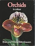 Orchids in colour