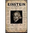 (24x36) Albert Einstein (Wisdom, Quotes) Art Poster Print