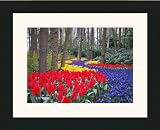 Review ArtToFrames  / 16x24 / 16 x 24 Picture Frame Satin Black Flat top w/ Step Lip .. 1.75'' wide