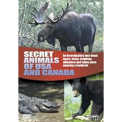 Wildlife - Secret Animals of USA and Canada [UK Import]