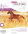 Foundation Flash 8 Video