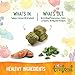 Wellness Trufood Cocochia Bakes Natural Grain Free Dog Treats, Salmon, Coconut Oil & Spinach, 5-Ounce Bag