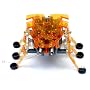 Orange Hexbug - Alpha