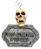 Remote Skull Plaque