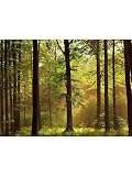 IDEALDECOR WALL MURALS & DOORPOSTERS Wallpaper -216 Wallpaper