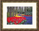 Review ArtToFrames  / 12x18 / 12 x 18 Picture Frame Antique Burgundy/Gold Insert w/ Gold Lip .. 1.5'' wide