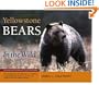 Yellowstone Bears in the Wild