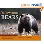 Yellowstone Bears in the Wild