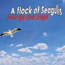 A Flock Of Seagulls Foto 6