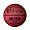 Wilson B0701R NCAA 28.5