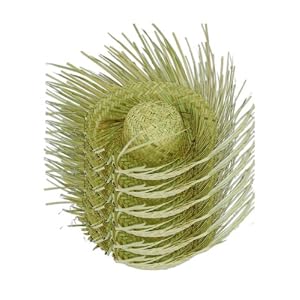 Click to buy Straw Beachcomber Luau Party Hats (6 Hats, Adult Size) from Amazon! Click to buy Straw Beachcomber Luau Party Hats (6 Hats, Adult Size) from Amazon!