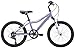 Diamondback Bicycles Lustre 20 Kid's Mountain Bike, 20