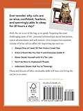 You Need More Sleep: Advice from Cats You Need More Sleep: Advice from Cats