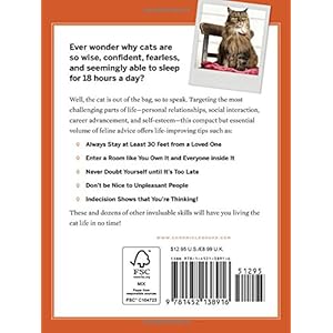 You Need More Sleep: Advice from Cats